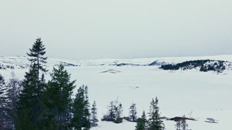 Frozen-Lake-And-Mountain-Range-Seen-From-Cabin-With-Pine-Trees-At-Winter