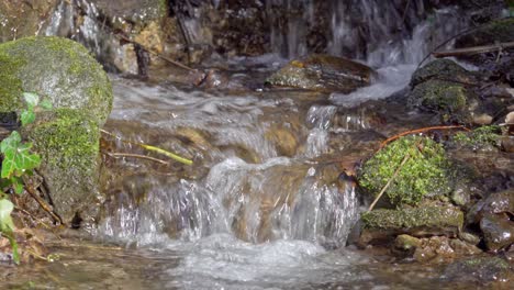 Part-of-a-wild-little-stream-flows-through-nature-surrounded-by-stones