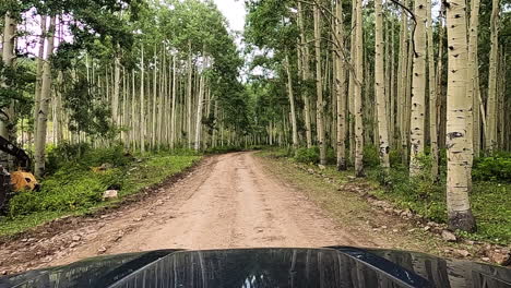 Single-logging-machine-standing-in-dense-forest,-POV-driving-on-gravel-road-shot