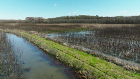 Wetlands-At-Bell-Slough-State-Wildlife-Management-Area,-Arkansas,-USA---Drone-Shot