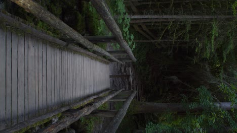 Vertikale-Aufnahme-Einer-Hölzernen-Wanderbrücke-Mitten-Im-Dunklen-Wald,-Handheld,-Alpen