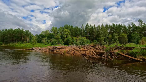 Massive-beaver-dam-in-Gauja-National-Park,-slow-motion-view