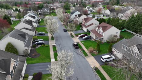 Spring-in-American-neighborhood