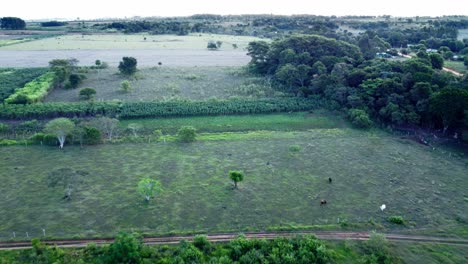 Aerial-View-Of-A-Crop-Fields-In-Paraguay-Video