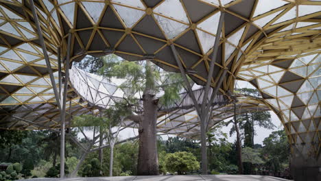 Canopy-At-The-Main-Square-Of-The-Perdana-Botanical-Gardens-In-Kuala-Lumpur,-Malaysia