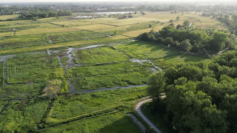 Luftaufnahme-Des-Naturschutzgebietes-Bourgoyen-Ossemeersen-Mit-Sumpf