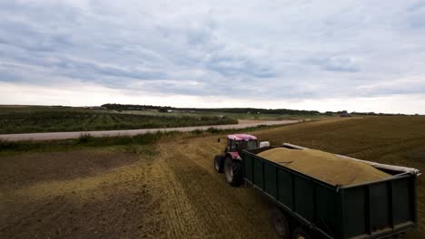 Tracking-Drone-Shot,-Tractor-With-Wagon-Transporting-Harvested-Wheat-From-Farming-Field