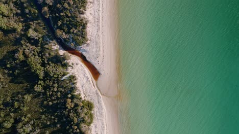 White-Sand-Beach-With-Clear-Blue-Sea-In-Freycinet,-Tasmania,-Australia