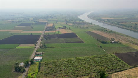 Verdor-Campo-De-Cultivo-Vista-De-Pájaro