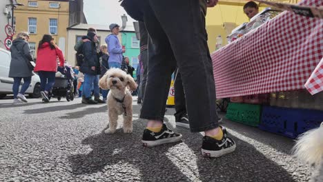 Street-food-festival-in-Kinsale,-Ireland-crowds-at-the-food-stall