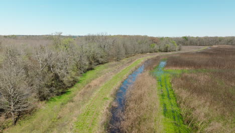 Green-Trail-And-Wetland-In-Bell-Slough-State-Wildlife-Management-Area,-Arkansas,-USA---Drone-Shot