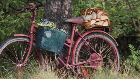 Ein-Altes-Fahrrad-Als-Gartendekoration---In-Seinem-Korb-Blühen-Blumen