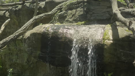 Water-flowing-off-of-a-mossy-rock,-creating-a-small-waterfall