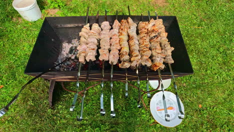 Primer-Plano-De-Pollo-Asado-Fresco-A-La-Parrilla,-Sabroso-Shish-Kebab-Ensartado