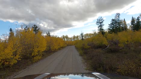 Passing-by-another-vehicle-on-wild-gravel-road-with-autumn-colors-forest,-POV