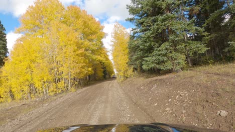 Stopping-on-side-of-gravel-road-to-let-a-Chevrolet-truck-pass-in-forestry-area-with-autumn-colors
