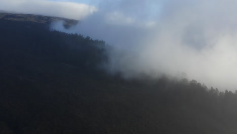 White-clouds-moving-over-the-forest-on-the-slopes-of-Haleakala-volcano-in-Maui