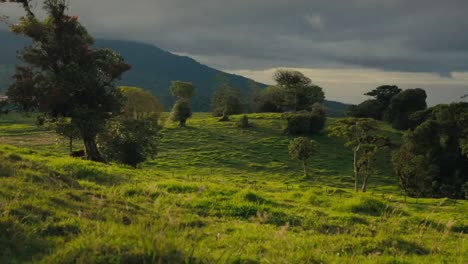 A-sunlit-green-panorama-with-fields-of-grass,-trees,-and-distant-mountains-under-a-cloud-covered-sky,-epitomizing-the-concept-of-untouched-natural-beauty