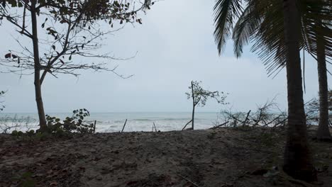 Secluded-Palomino-Shoreline-View,-Colombia