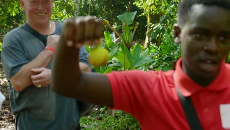 African-Man-Is-Holding-A-Nutmeg-Fruit-In-Spice-Farm,-Zanzibar,-Tanzania