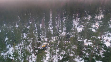 Tree-harvester-felling-trees-in-snowy-Swedish-forest-on-misty-morning,-aerial