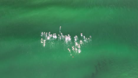 Teilnehmer-Konkurrieren-In-Einem-Ozean-Schwimmrennen-Bei-Einer-Australischen-Surf-Life-Saving-Championships