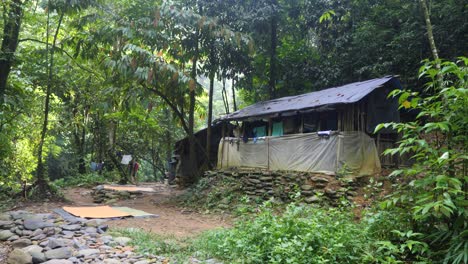 Ubicación-De-La-Selva-De-Sumatra-En-El-Río-Landak,-Indonesia