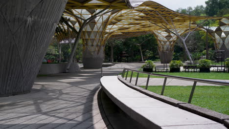Perdana-Botanical-Gardens-Canopy-In-Summer-In-Kuala-Lumpur,-Malaysia