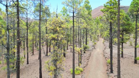 La-Vista-Desde-El-Dron-Revela-El-Paisaje-Lunar-De-Paisaje-Lunar-Salpicado-De-Pinos,-Creando-Una-Escena-Surrealista-Y-Cautivadora-Que-Fusiona-Elementos-Terrestres-Y-Extraterrestres.