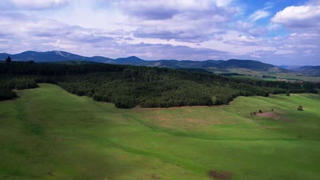 Aerial-View,-Pristine-Green-Landscape-of-Zlatibor-Mountain,-Serbia,-Pastures-and-Pine-Forest