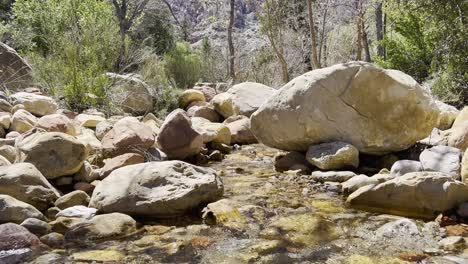 Shot-of-a-running-creek-surrounded-by-rocks,-trees-desert-plants