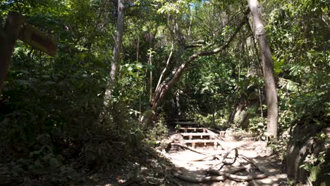 Toma-Pov-Caminando-Por-Un-Sendero-Prefabricado-Dentro-Del-Parque-Nacional-Tayrona