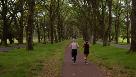 Pathwalk-between-greenery,-two-woman-running,-jogging-at-Cornwall-Park-in-the-city-of-Auckland,-New-Zealand