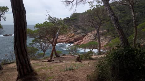 Panoramic-landscape-at-Cami-de-Ronda-rocky-mediterranean-coastline,-sea-waves-breaking-in-windy-dry-natural-Costa-brava-region-in-spain-Catalonia