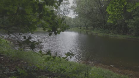 Side-slide,-natural-water-lake-with-green-trees-around-it,-cloudy,-summer