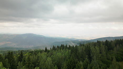 Dynamische-Luftaufnahme-Vom-Dichten-Wald-Bis-Zum-Tal-Unter-Dem-Vitosha-Gebirge-Mit-Bewegtem-Nebel
