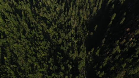 Luftaufnahme-über-Schlucht-Und-Wald,-Die-Den-Vulkan-Popocatépetl-In-Mexiko-Zeigt