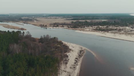 Aerial-Shot-Gauja-River-Flows-Into-the-Baltic-Sea-Gulf-of-Riga,-Latvia-Broken-Pines-After-Storm-and-Washed-Up-Shore