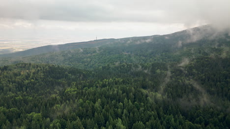 Drohne-Fliegt-In-Richtung-Der-Stadt-Sofia-über-Dem-Vitosha-Gebirge-Mit-Dichtem-Mystischem-Nebel,-Der-Von-Den-Bäumen-Aufsteigt