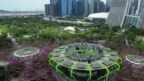 People-Sightseeing-city-skyline-from-Supertree-Rooftop-in-Bay-Gardens,-Drone-Arc-Shot