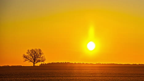 La-Belleza-De-La-Soledad-Mientras-El-Sol-Sale-Gloriosamente,-El-Paisaje-Naranja-Del-Amanecer-De-Letonia