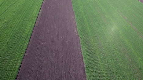 Aerial-view-of-a-large-field-of-green-grass