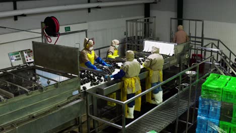 DRONE-SHOT-OF-AVOCADO-PROCESSING-PLANT-IN-URUAPAN-MICHOACAN