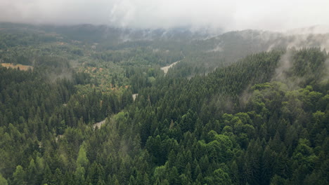 Luftaufnahme-Von-Vorne-Und-Blick-Auf-Den-Mystischen-Nebel-Im-Dicht-Bewaldeten-Berg-Vitosha