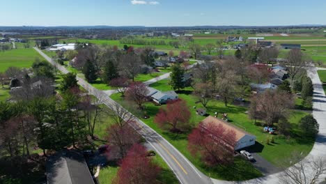 Quaint-green-Suburb-of-USA-with-single-family-houses-at-sunlight-in-spring