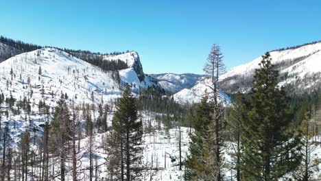 Vista-Aérea-Entre-Los-árboles-Del-Bosque-Y-El-Sinuoso-Río-De-Los-Desiertos-Del-Bosque-Nacional-El-Dorado,-California