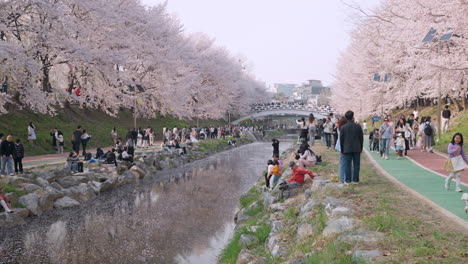 Menschen-Entspannen-Im-öffentlichen-Park-Des-Yangjae-Citizen&#39;s-Forest-Im-Bezirk-Seocho,-Seoul,-Südkorea