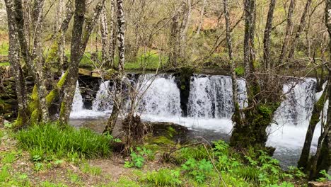 Blick-Auf-Die-Grüne-Wiese-Mit-Wasserfall-In-Ourense,-Galizien