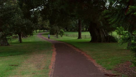Hombre-Panorámico-Corriendo-Por-Un-Sendero-En-El-Paisaje-De-árboles-Urbanos-De-Cornwall,-Way-Park-En-Auckland,-Nueva-Zelanda