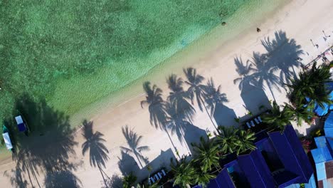 Tropical-island-bay-Coconut-palm-tree-shade-beach,-turquoise-clear-water